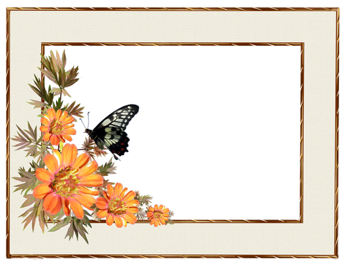 frame  border  flowers