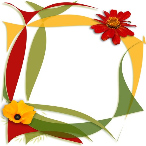 frame  illustration  flowers