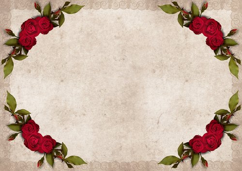 frame  roses  background
