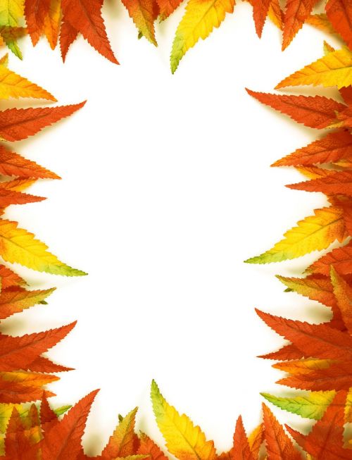 frame leaves leaf