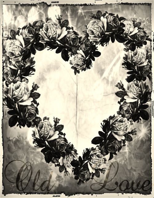 frame roses heart