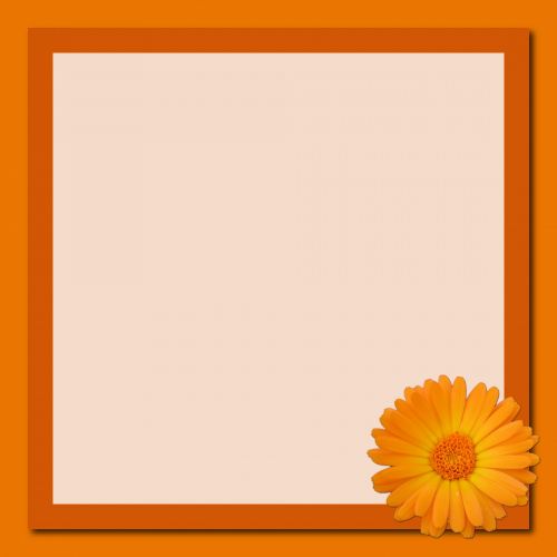 Frame Orange Flower