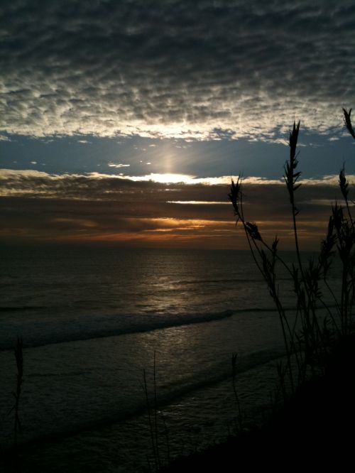 Sunset At Shoreline