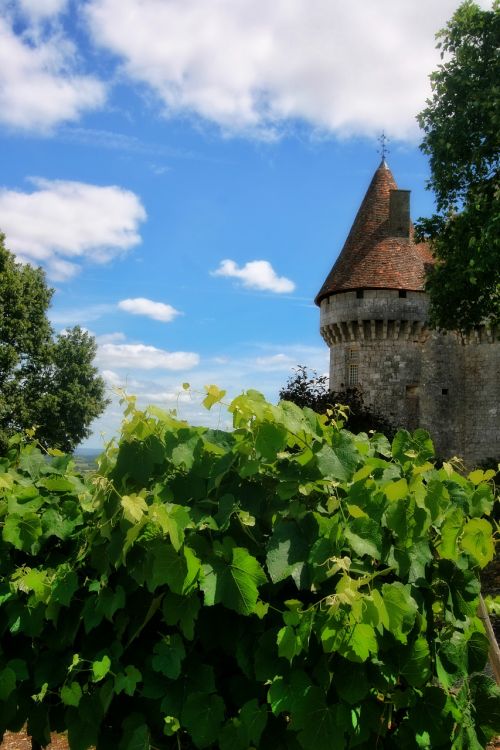 france dordogne périgord