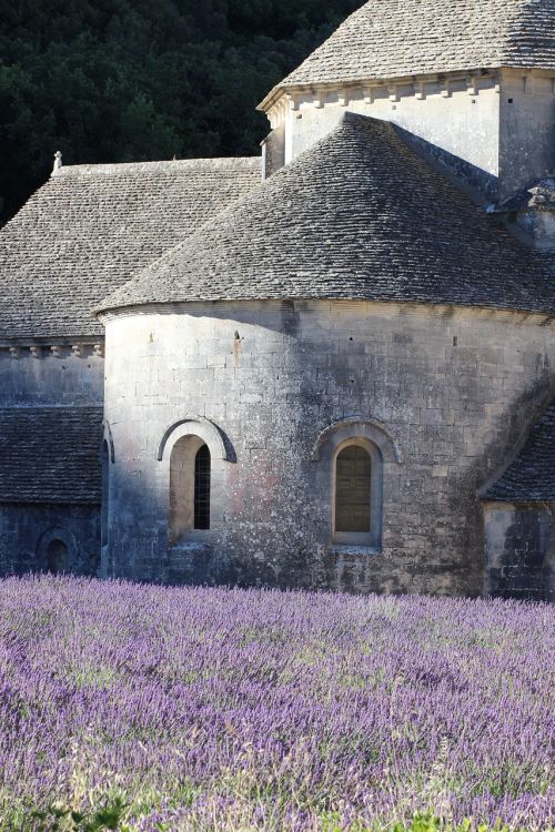 france provence lavender