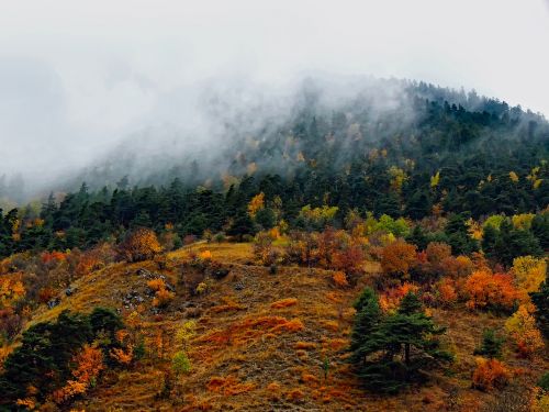 france fog autumn