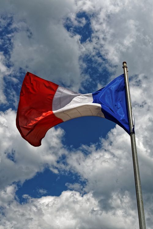 france flag blue