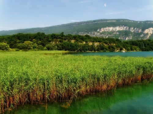 france marsh water