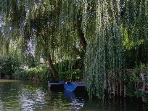 france water rest