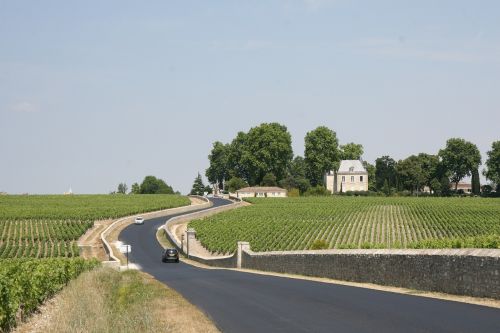 france bordeaux winery