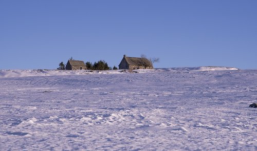 france  aubrac  farm