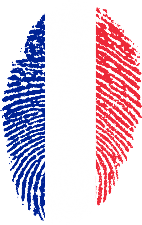 france flag fingerprint