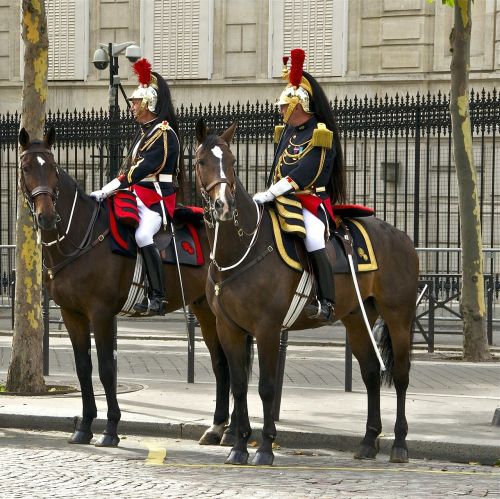 france paris horses