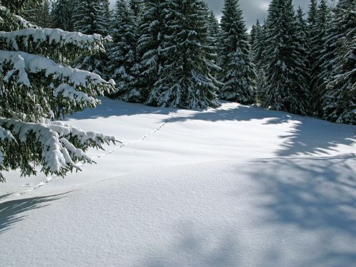 france winter snow