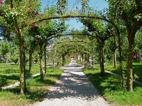 france path walkway