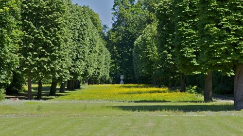 france landscape forest