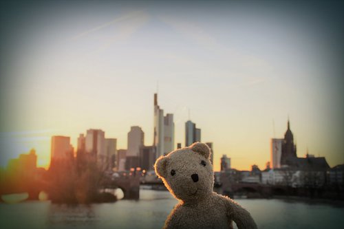frankfurt  skyline  teddy