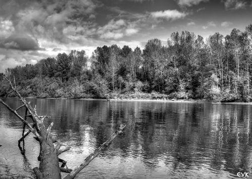 fraser river black