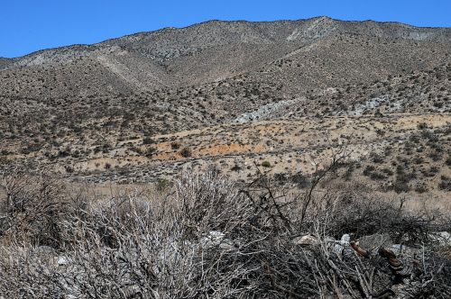 Freckled Mountains