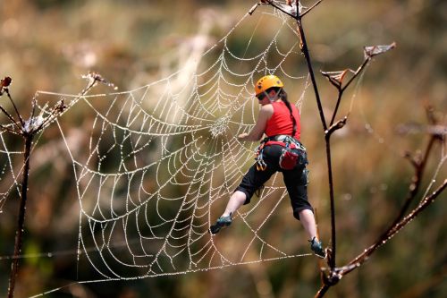 free climbing climb cobweb
