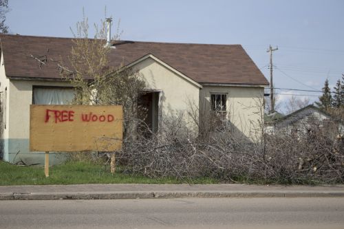 Free Wood Funny Creative