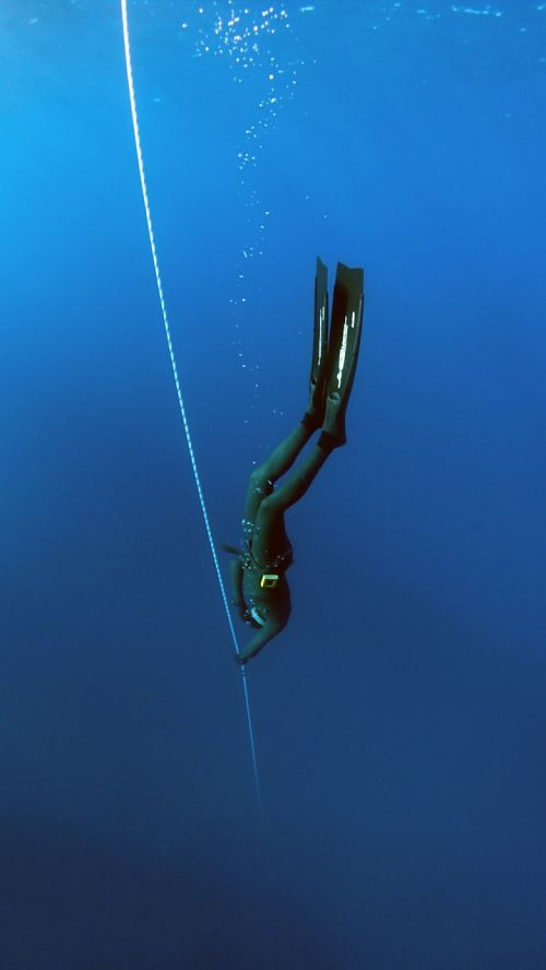 freediving diving sea