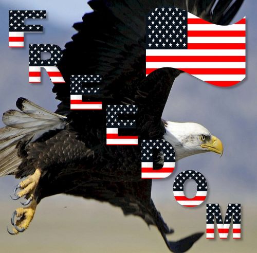 freedom patriotic american