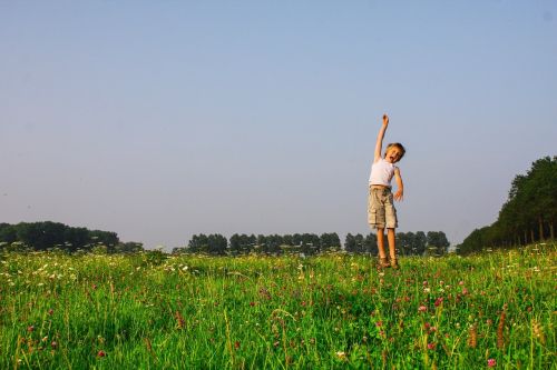 freedom meadow spring summer