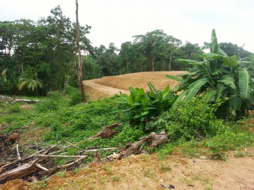 freehold land trinidad mandillon road