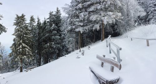 freiburg schauinsland snow