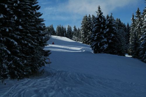 french-speaking switzerland snow trees