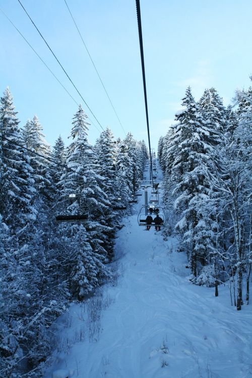 french-speaking switzerland snow trees