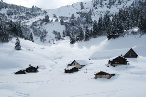 french-speaking switzerland snow trees