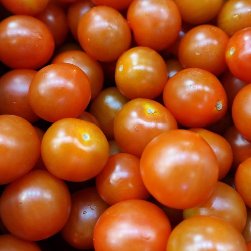 fresh tomatoes organic