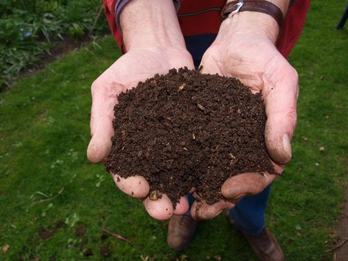 fresh compost hand