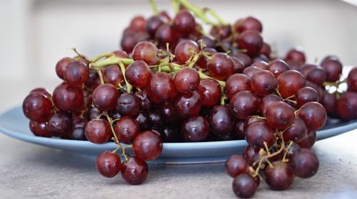 fresh fruit grape