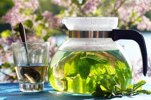 fresh  mint  tea