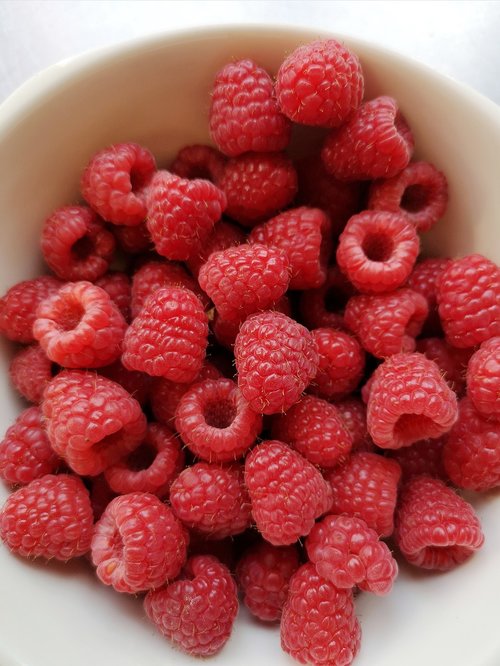 fresh  raspberries  fruit