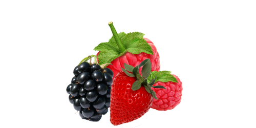 fresh berries blackberry