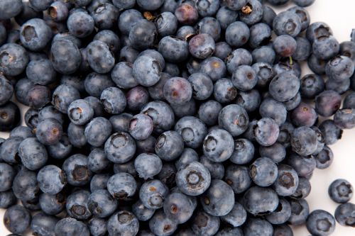 Fresh Blueberries