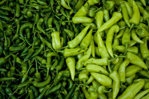 fresh peppers farmers market open air