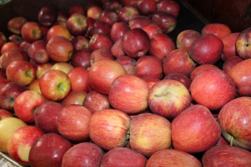 fresh red apples fruit super market