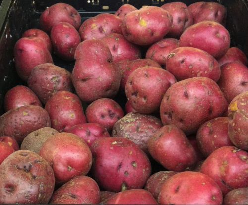 Fresh Red Potatoes