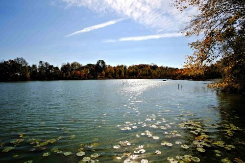 fresh water lake inland sunlight