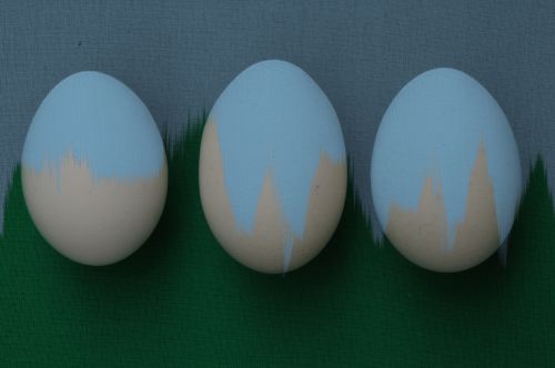 Freshly Painted Eggs