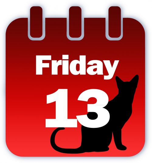 friday calendar cat