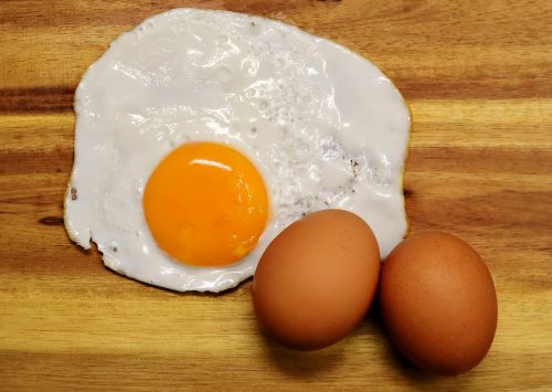 fried egg yolk protein