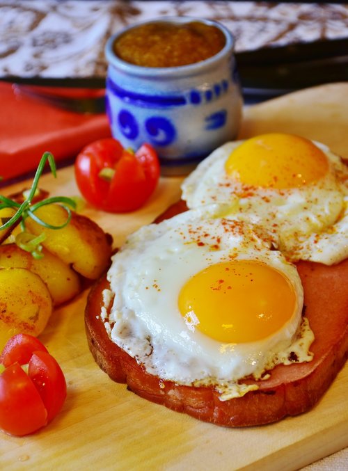 fried  egg  liver cheese