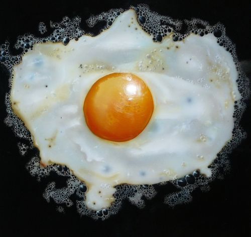fried eat egg