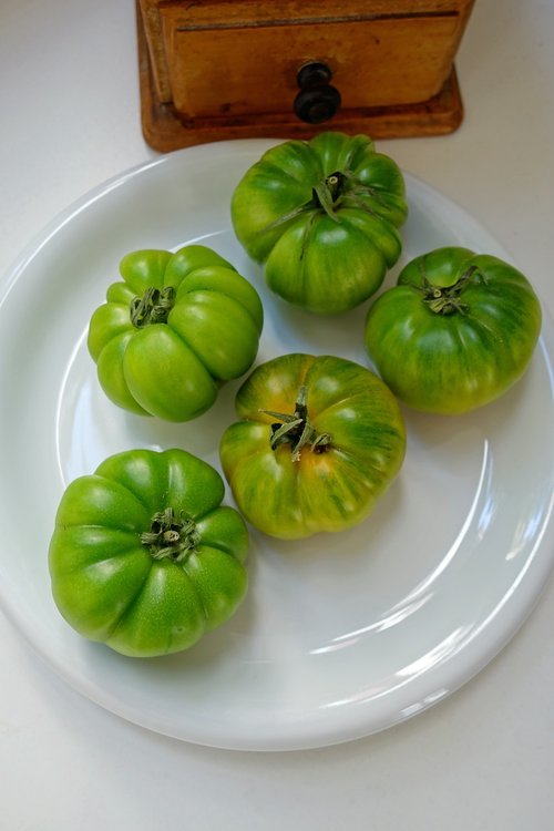 fried green tomatoes  green tomato  tomato